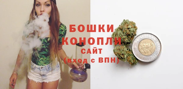 прущие грибы Беломорск