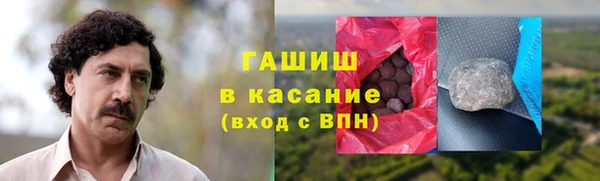 прущие грибы Беломорск
