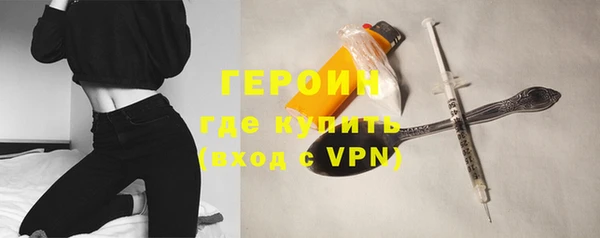 шишки Белокуриха