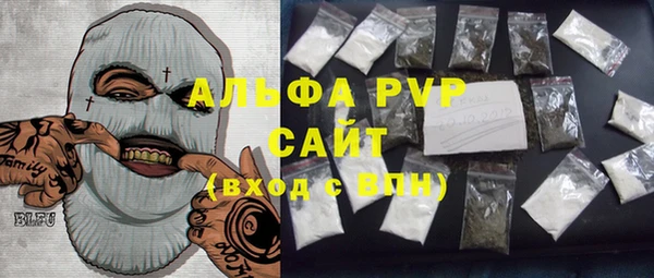прущие грибы Беломорск