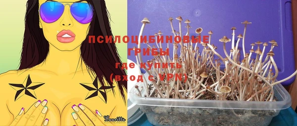 шишки Белокуриха