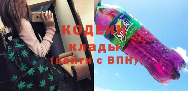 прущие грибы Беломорск