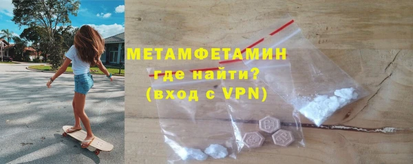 прущие грибы Беломорск