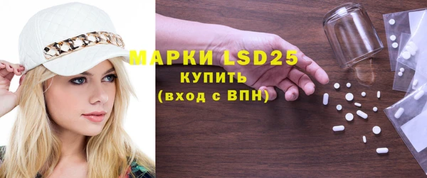 шишки Белокуриха